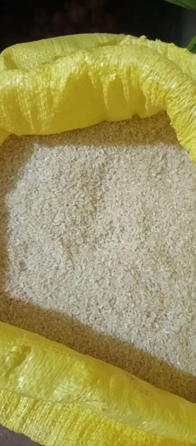 پنجاه کیلو برنج چمپا کره|خوردنی و آشامیدنی|مارگون, |دیوار