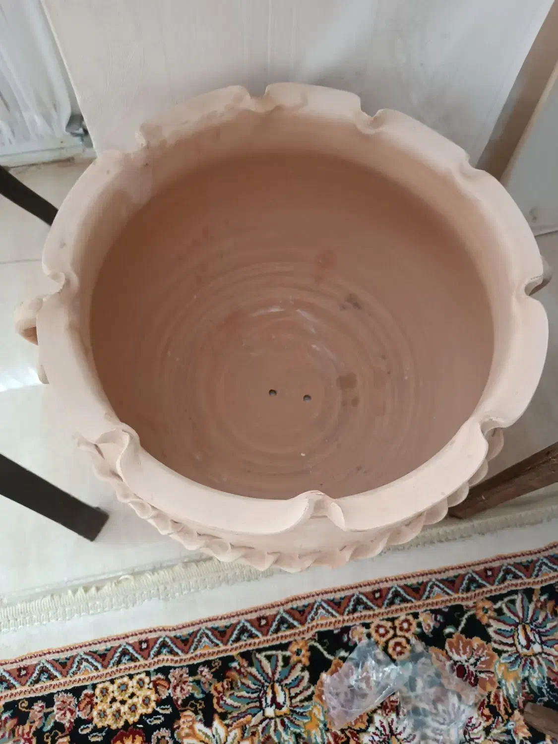 گلدان|گل و گیاه طبیعی|تربتحیدریه, منصوریه|دیوار