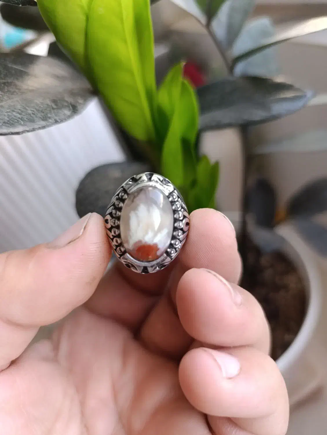 انگشتر شجر|جواهرات|پیشوا, |دیوار