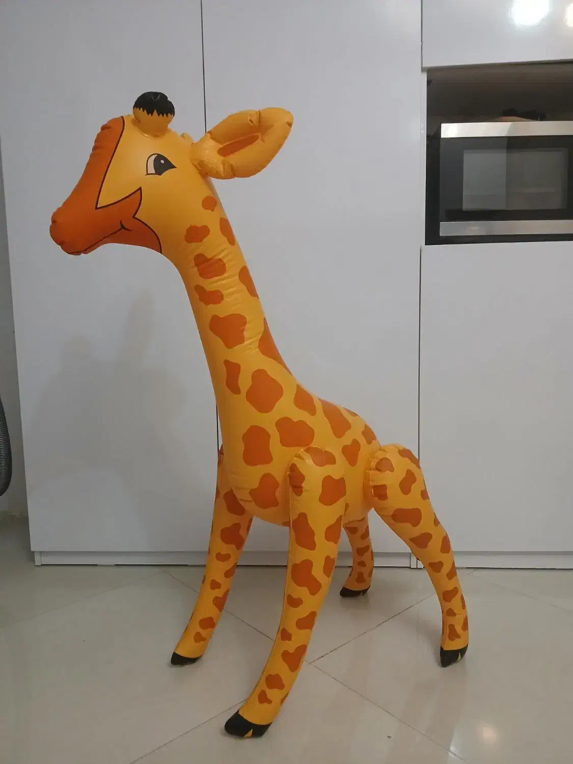 استخر بادی ،زرافه وصندلی|اسباببازی بچه|مشهد, چهارچشمه|دیوار