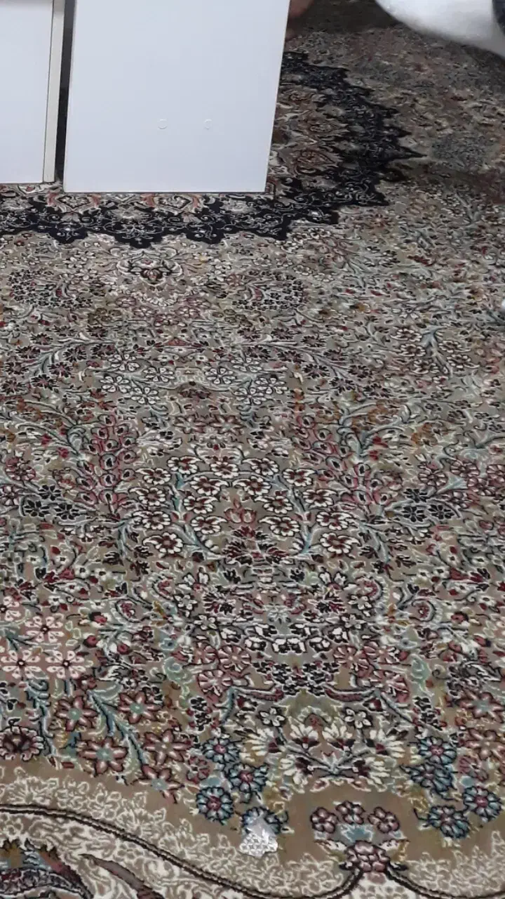 فرش ۱۲ متری در حد نو  دانه ای ۱۰میلیون|فرش|گرگان, |دیوار