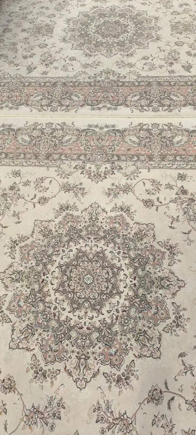 فرش 9متری|فرش|رشت, کاکتوس|دیوار