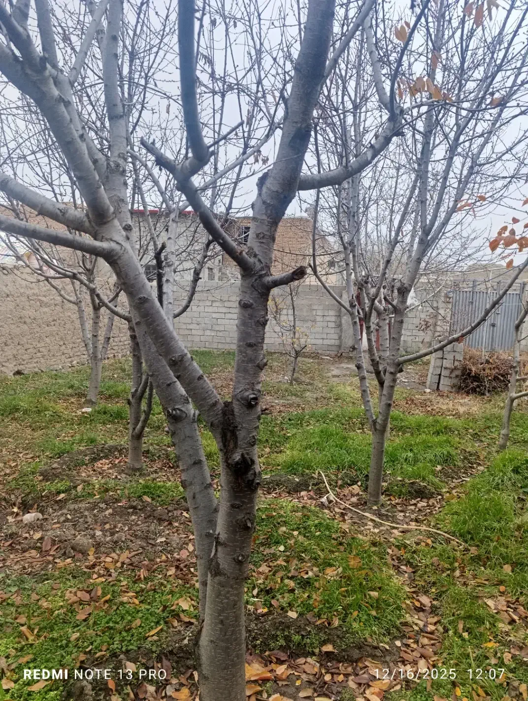 200متر زمین در روستای جمال آباد|فروش زمین و ملک کلنگی|قصابه, |دیوار