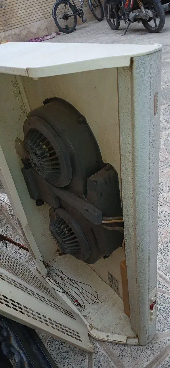 هود سالم|هود|اصفهان, جامی|دیوار