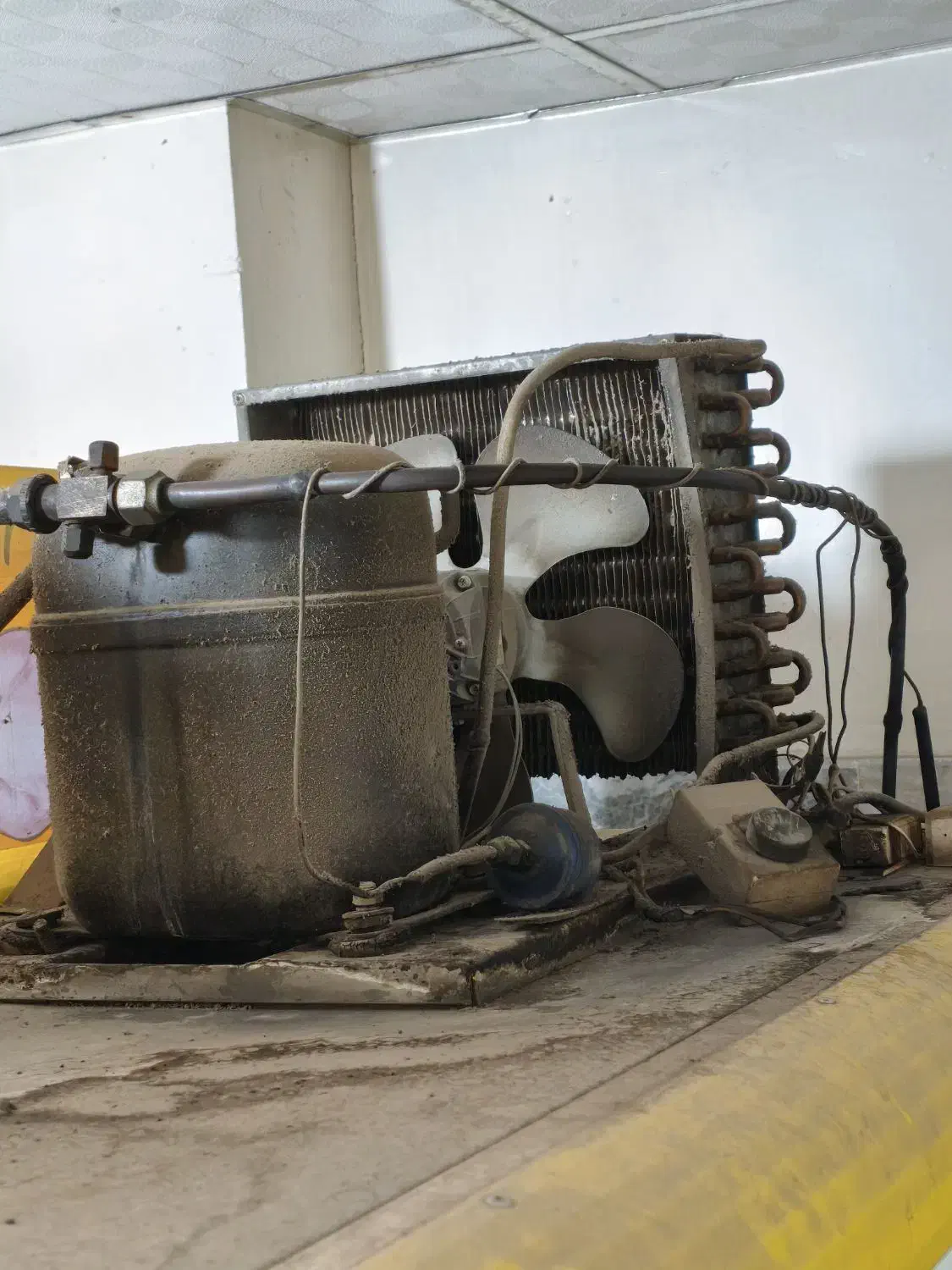 یخچال مغازه|یخچال و فریزر|قم, ولیعصر|دیوار