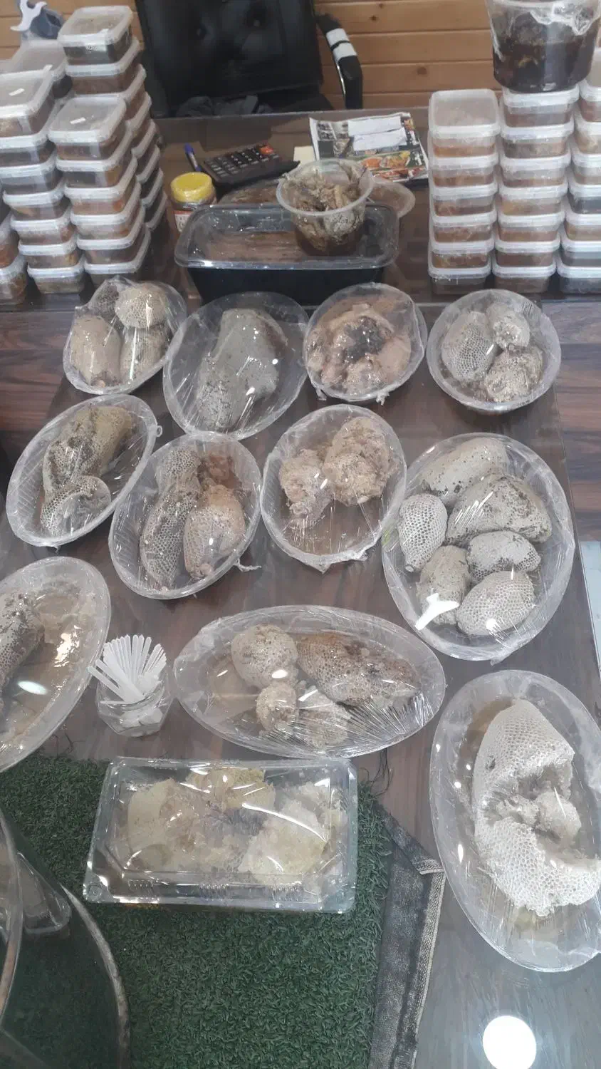 دهکده عسل برازجان|خوردنی و آشامیدنی|برازجان, |دیوار