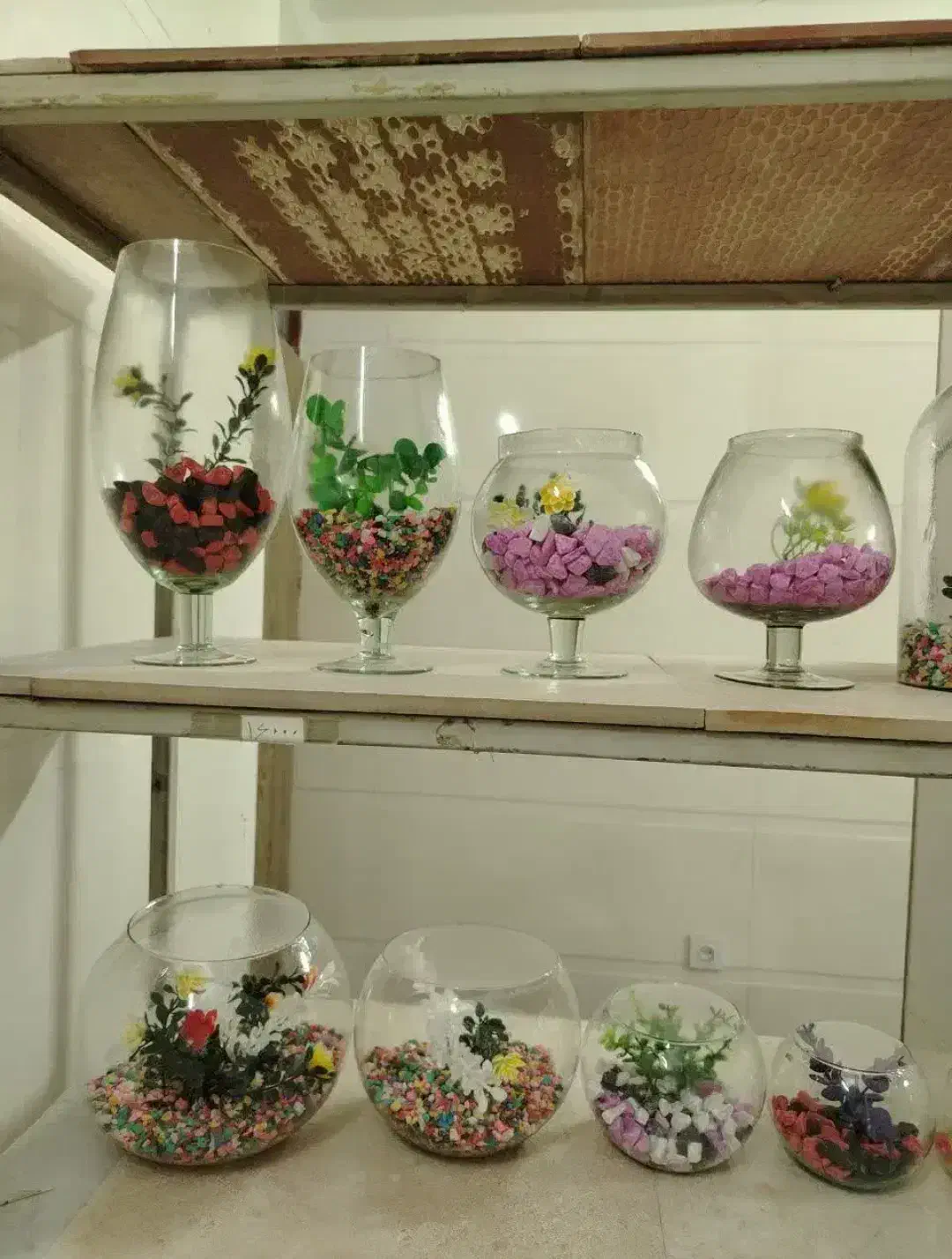 ماهی عید|ماهی|چمران, |دیوار