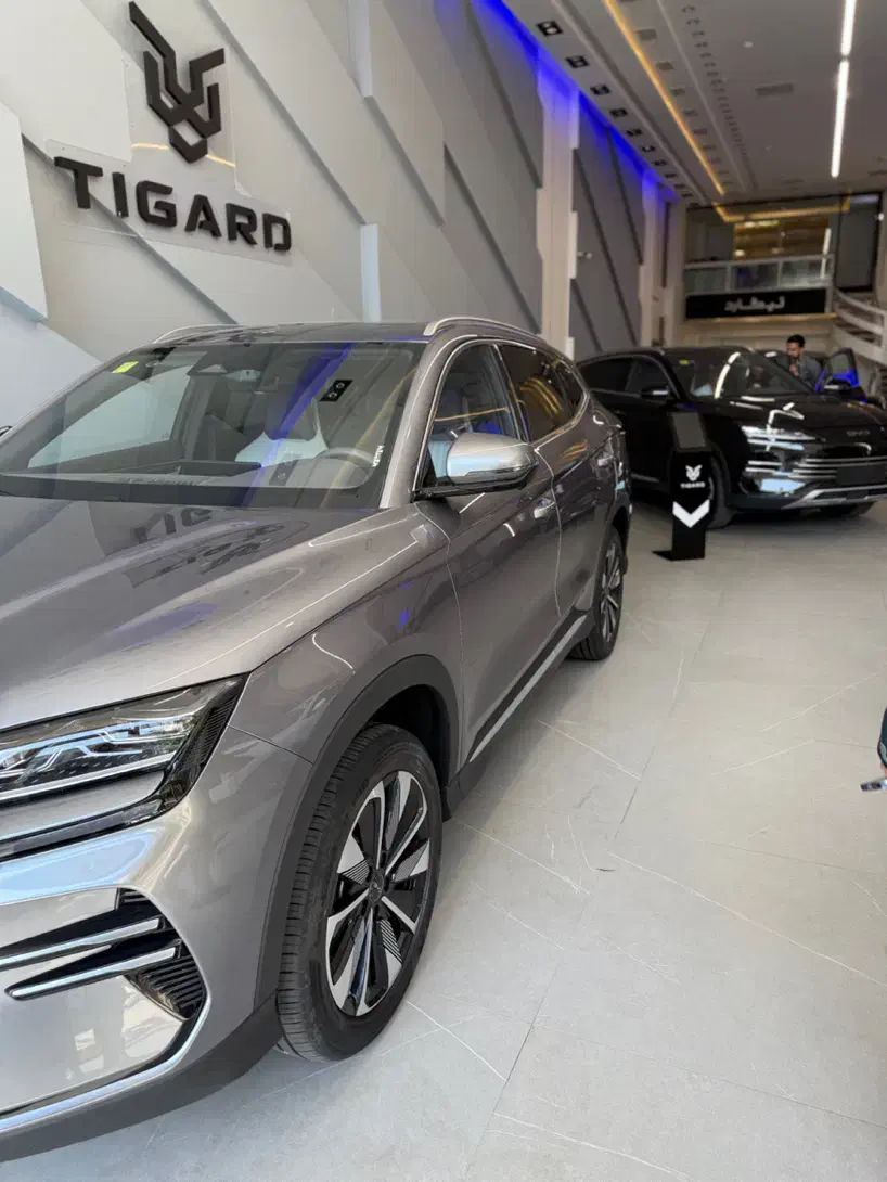 بی وای دی BVD شرایط ویژه|خودرو سواری و وانت|تهران, اختیاریه|دیوار