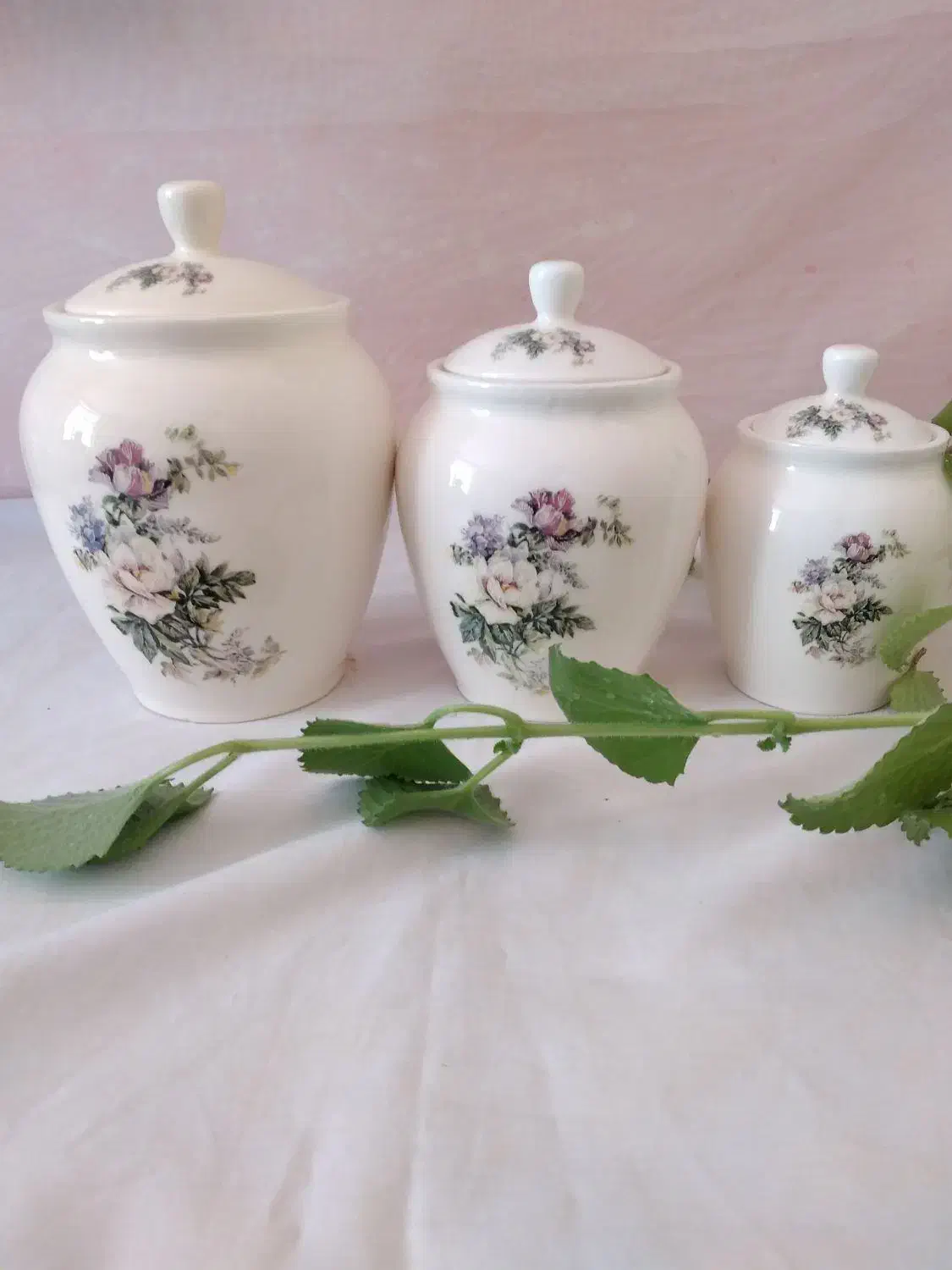 ظروف چینی سرامیک|ظروف سرو و پذیرایی|الیگودرز, |دیوار