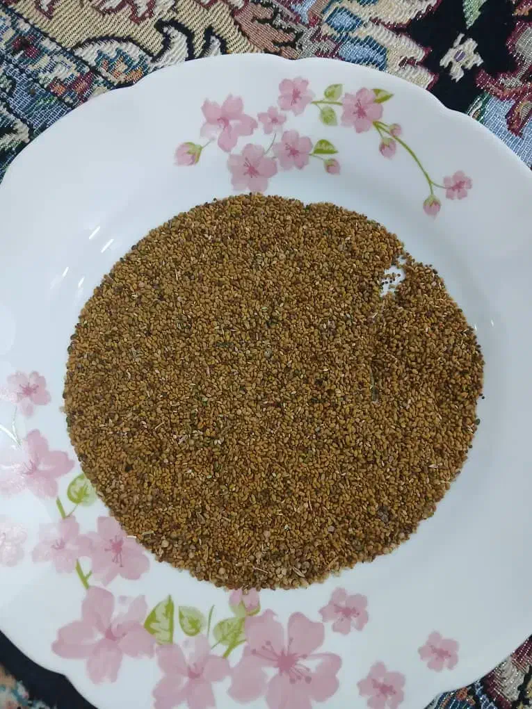 بذر یونجه پایه بلند|خدمات باغبانی و درختکاری|بروجرد, |دیوار