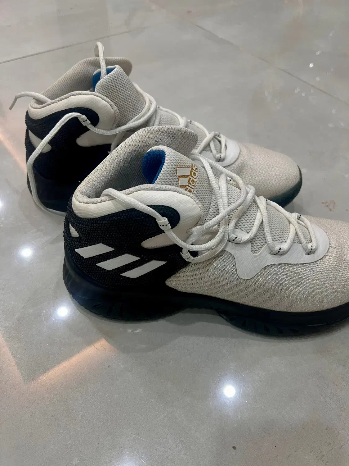 کفش ورزشی ادیداس اورجینال|تجهیزات ورزشی|اصفهان, باغ زرشک|دیوار