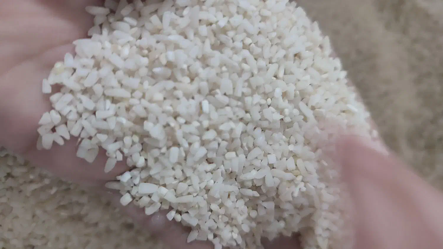 نیمدانه هاشمی|خوردنی و آشامیدنی|رشت, جماران|دیوار