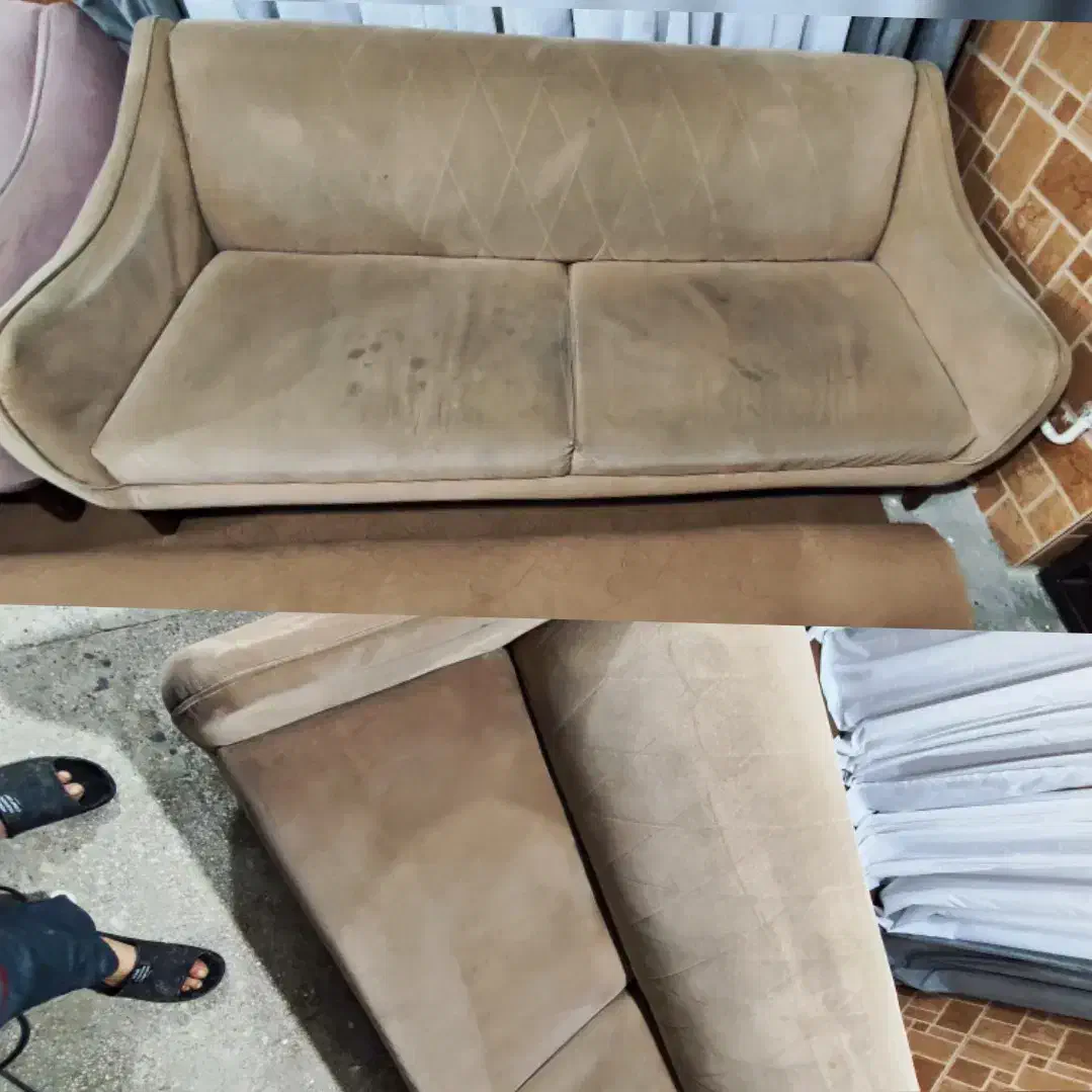 مبل شویی مبلشویی  و قالیشویی تک|خدمات نظافت|چالوس, |دیوار