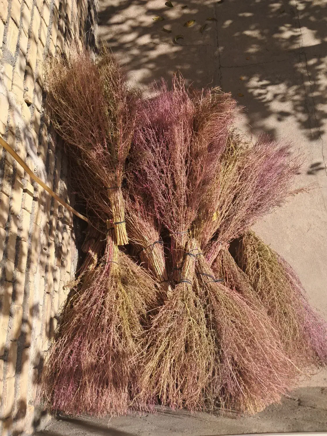 جارو|لوازم نظافت|خوی, |دیوار