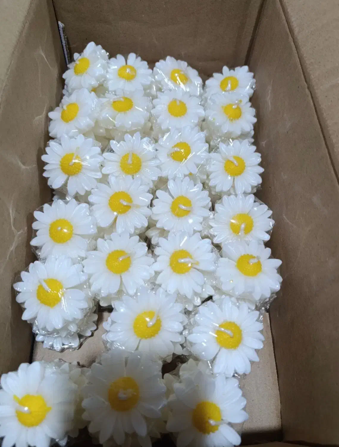 خرید|گل مصنوعی|بم, |دیوار