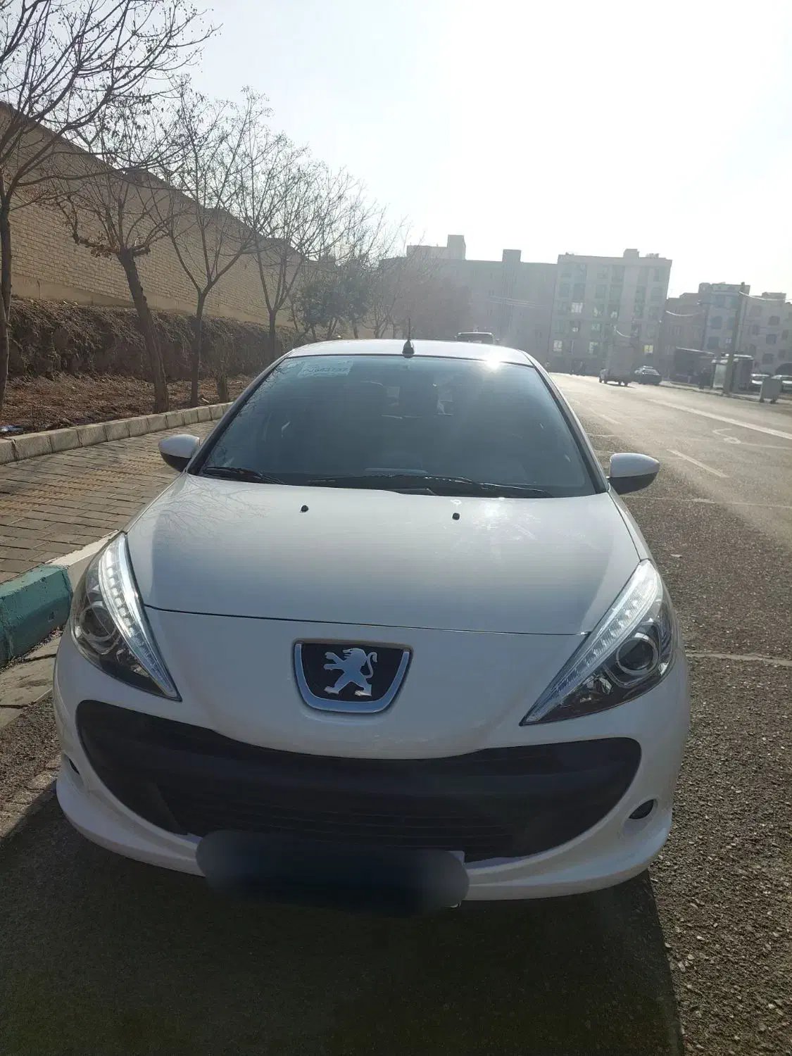 207|خودرو سواری و وانت|تهران, مسعودیه|دیوار