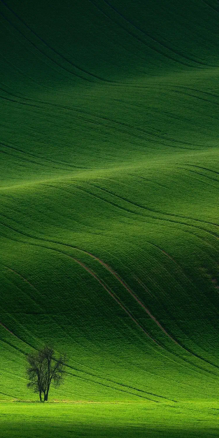 خط روند 916|سیم‌کارت|اهواز, زندوکیلی|دیوار