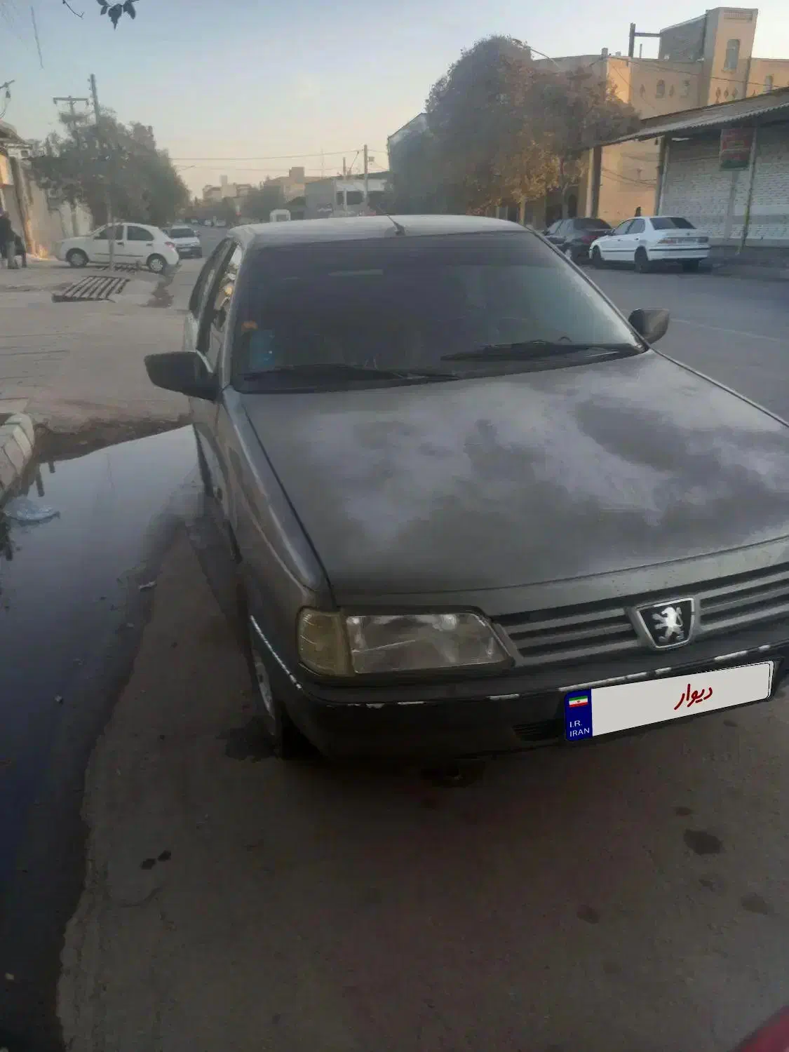 پژودوگانه۹۱|خودرو سواری و وانت|سیرجان, |دیوار