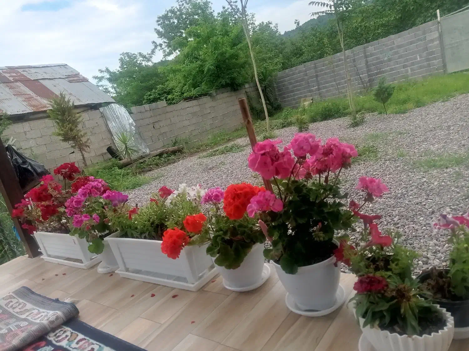 اجاره خانه ویلایی|اجارهٔ خانه و ویلا|ماکلوان, |دیوار