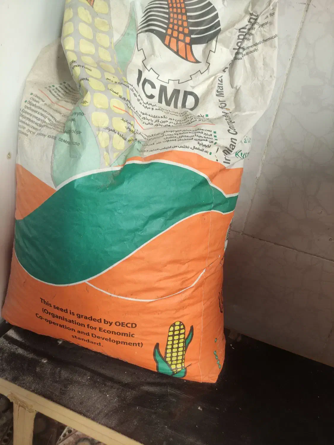 ذرت|کالسکه و لوازم جانبی|دهلران, |دیوار