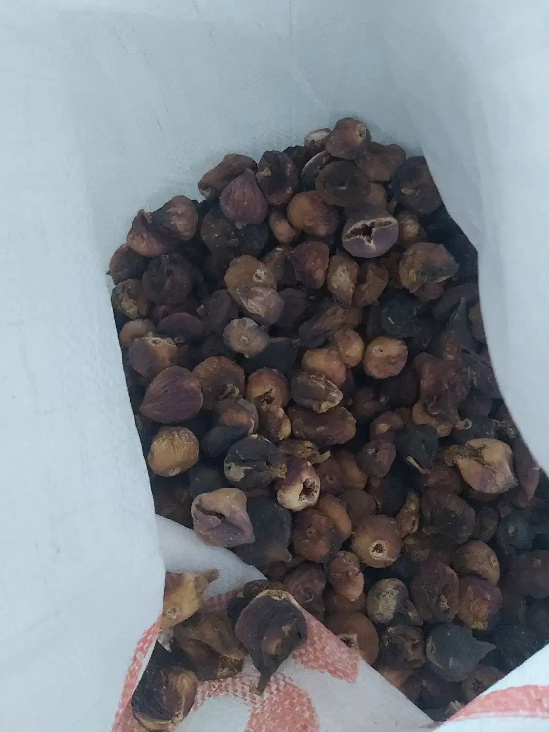 انجیر سیاه|خوردنی و آشامیدنی|شیراز, میانرود|دیوار