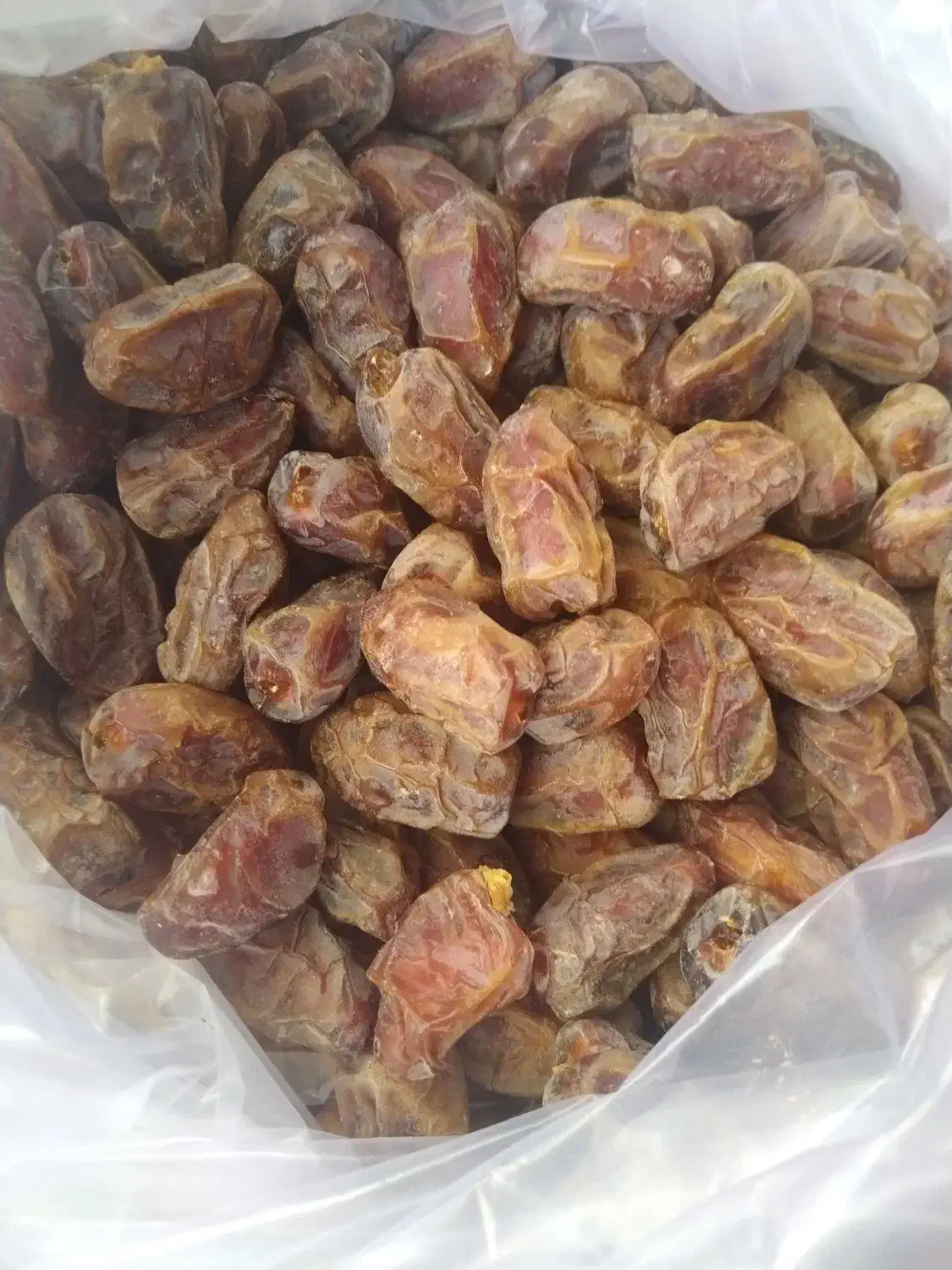فروش خرمای کبکاب درجه یک بهبهان|خوردنی و آشامیدنی|تهران, شهرک دانشگاه شریف|دیوار