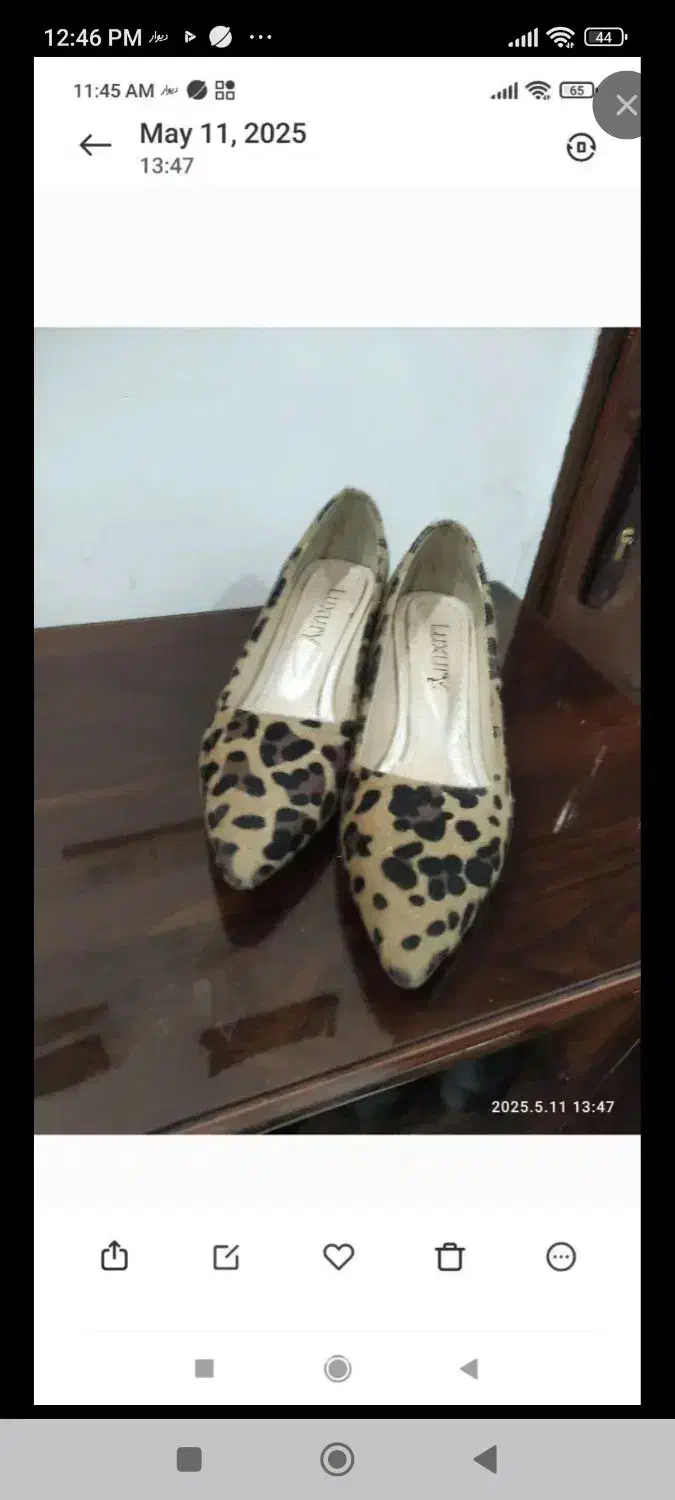 کفش مجلسی و اسپرت نو نو|کیف، کفش، کمربند|کرج, کوی مدرس|دیوار