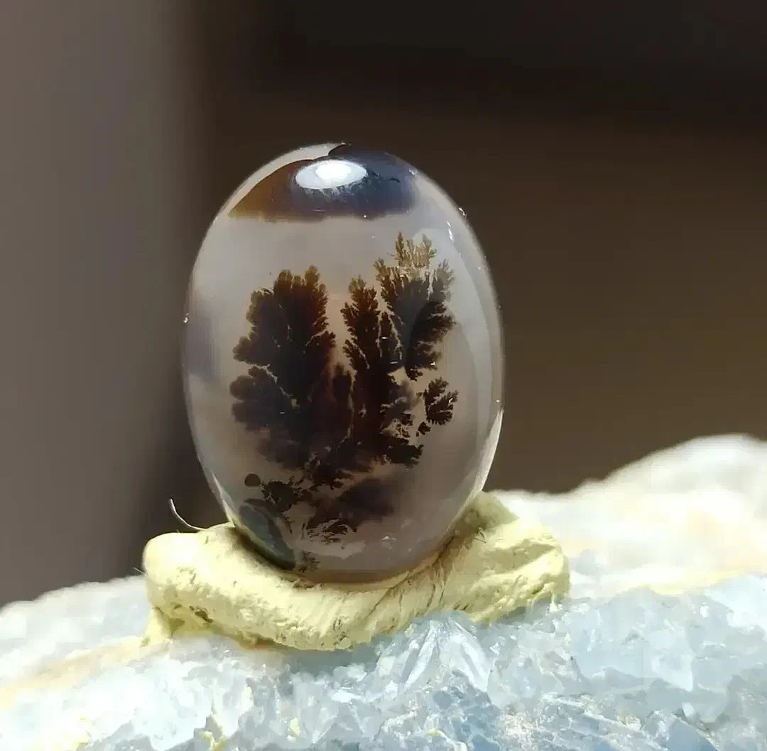 شجر و فیروزه|کلکسیون اشیاء عتیقه|سارال, |دیوار