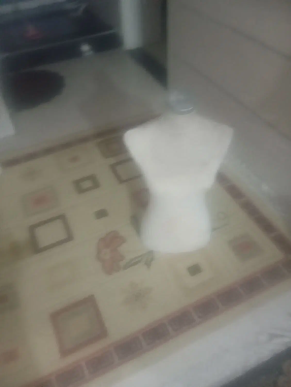 شش عدد مانکن زنانه|فروشگاه و مغازه|شیراز, جوادیه|دیوار