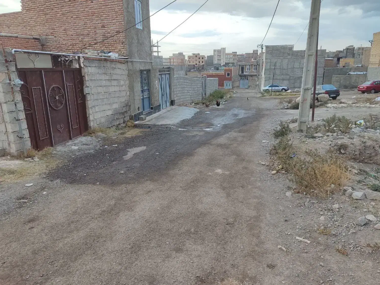 زمین حصارکشی شده|اجارهٔ دفتر صنعتی، کشاورزی، تجاری|مشگین شهر, |دیوار