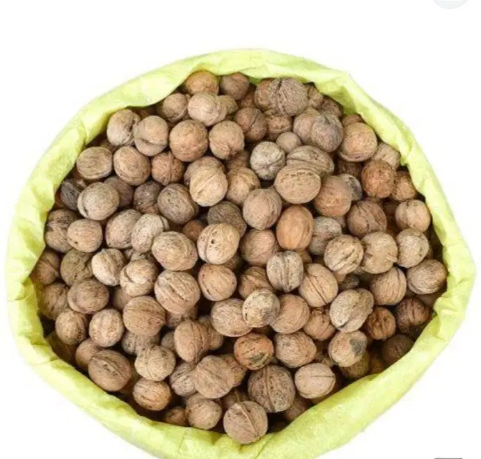 گردو|خوردنی و آشامیدنی|گرمسار, |دیوار