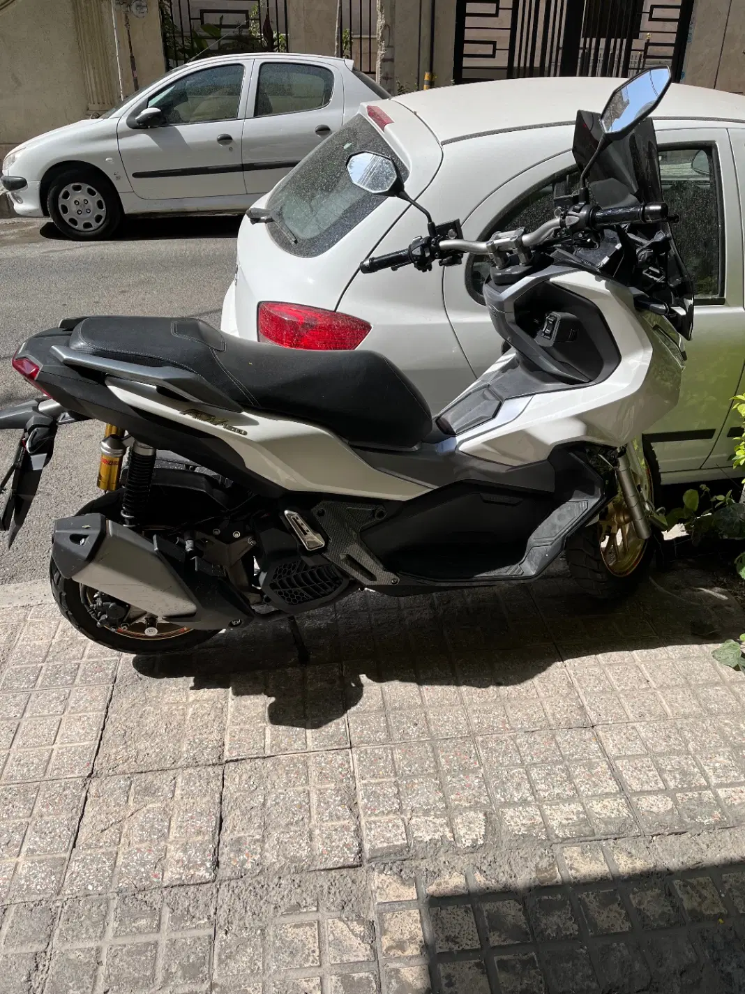 Adv 150|موتورسیکلت|تهران, درختی|دیوار