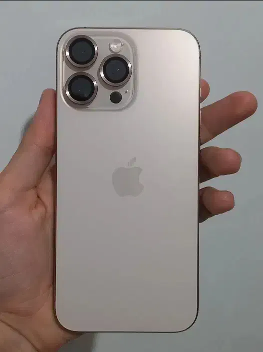 گوشی ۱۶ پرومکس ریجستر شده باطری 100|موبایل|رشت, حمیدیان|دیوار