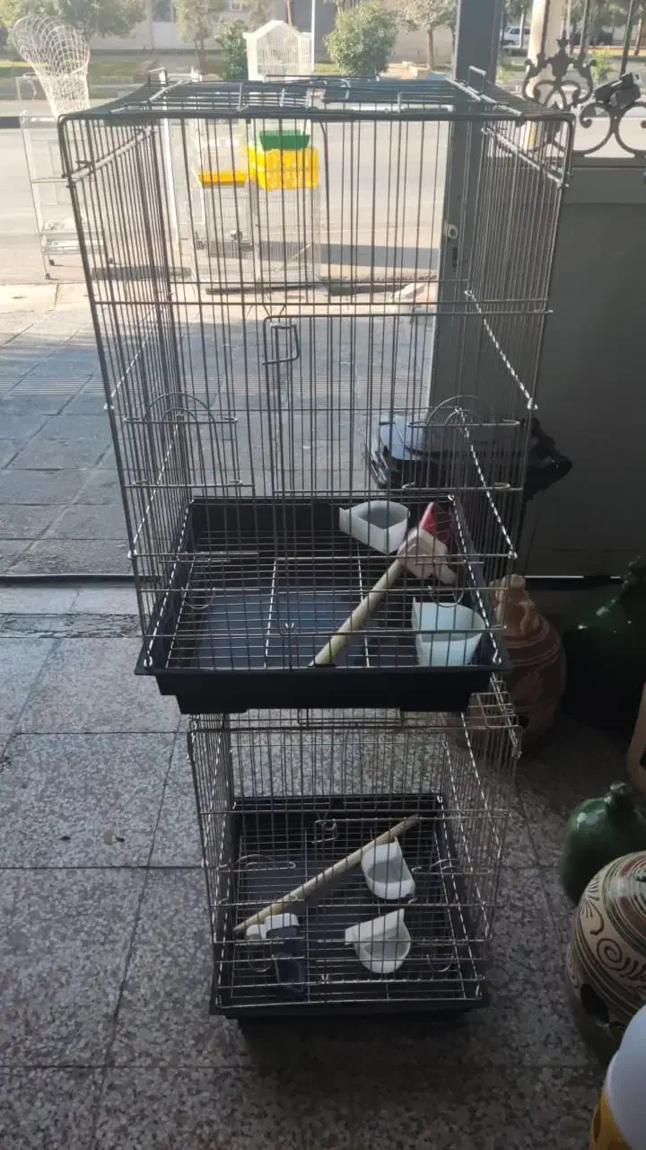 دوعددقفس بزرگ مخصوص انواع طوطی سانان|لوازم جانبی حیوانات|شیراز, گویم|دیوار