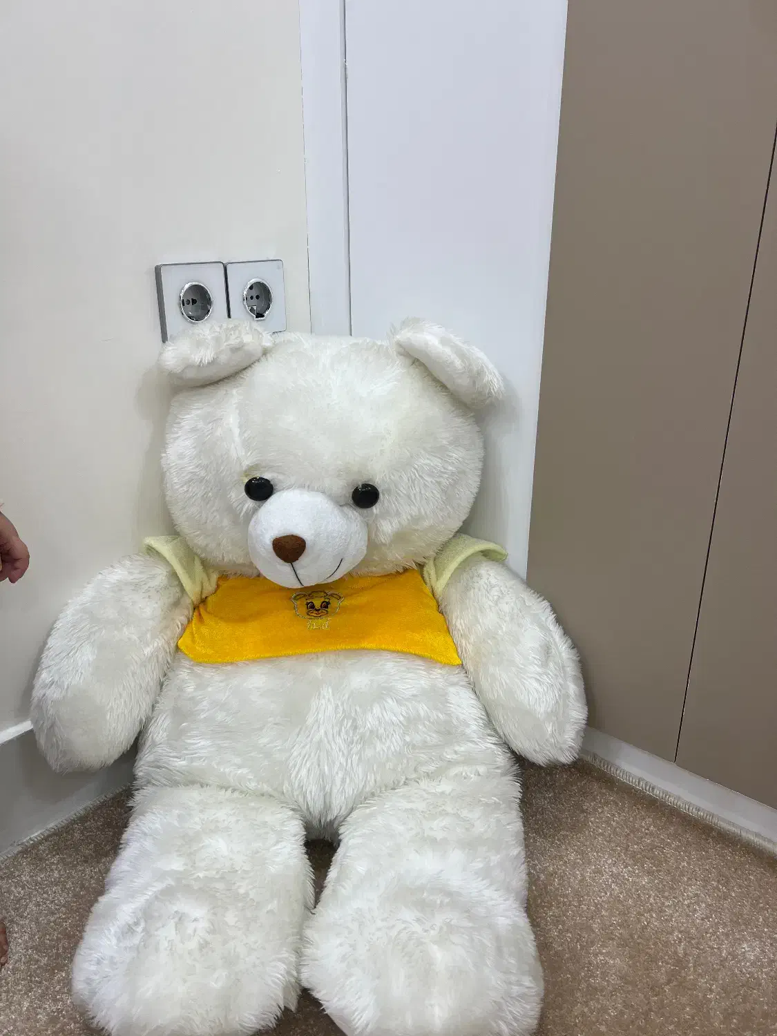 عروسک خرسی|اسباب و اثاث بچه|میاندوآب, |دیوار