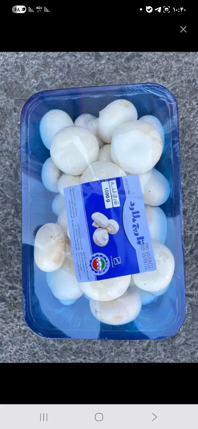 پخش قارچ|خوردنی و آشامیدنی|تربت جام, جامرود|دیوار