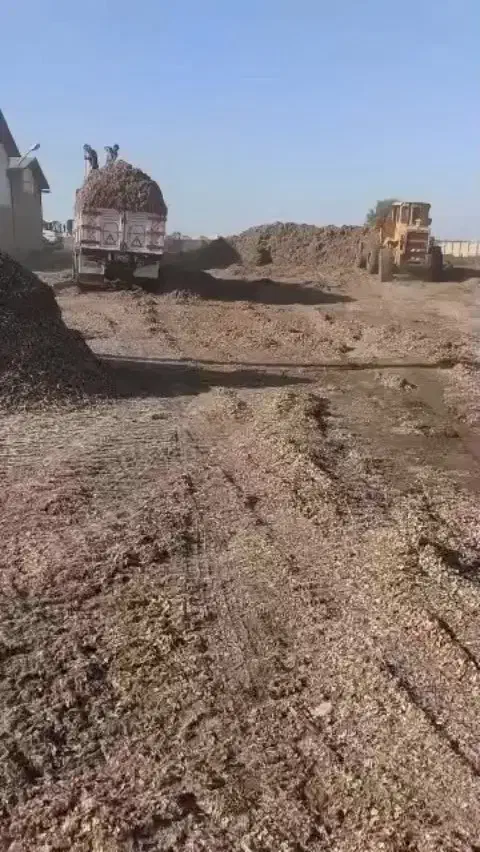 فروش دانه پنبه و پوسته پنبه|لوازم جانبی حیوانات|اصفهان, باغ نگاره|دیوار