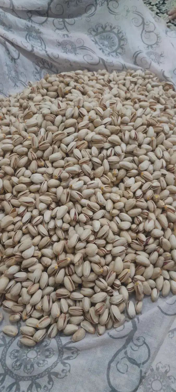 پسته خشک|خوردنی و آشامیدنی|سده (خراسان جنوبی), |دیوار