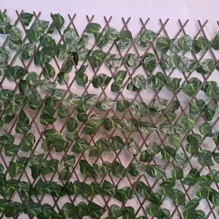 فنس برگی ریحانی رشته ای آکاردئون گرینوال دیوارسبز|مصالح و تجهیزات ساختمان|اصفهان, خواجو|دیوار