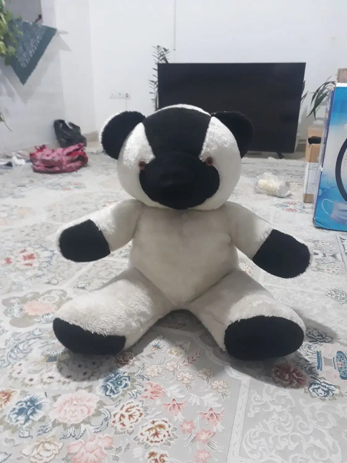 عروسک|اسباببازی بچه|سمنان, |دیوار