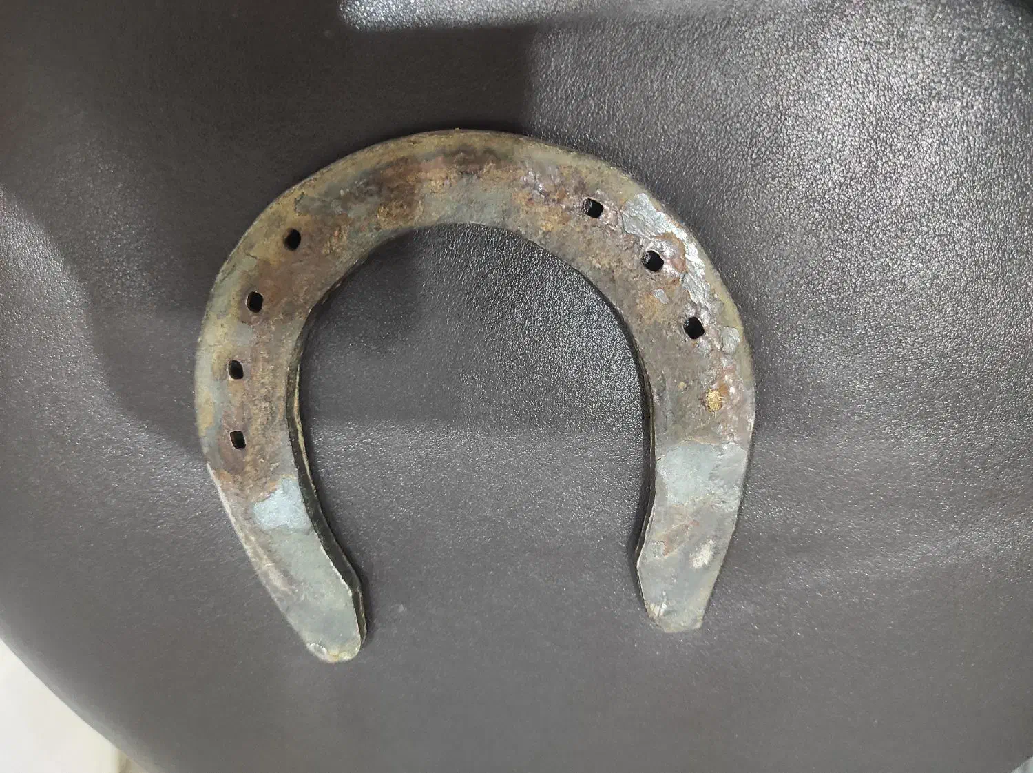 نعل اسب اصلی|اسب و تجهیزات اسب‌سواری|یاسوج, |دیوار