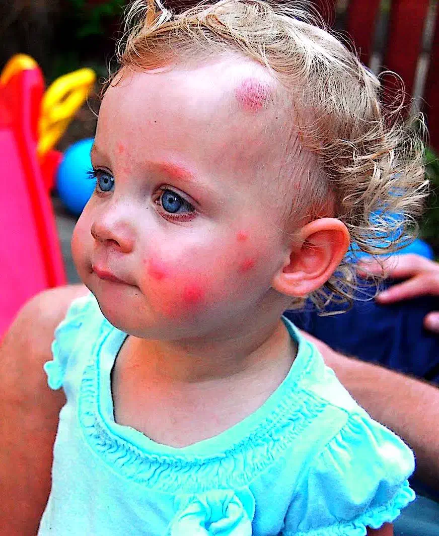 سمپاشی و موریانه زدایی تضمینی رامشیر|خدمات نظافت|رامشیر, |دیوار