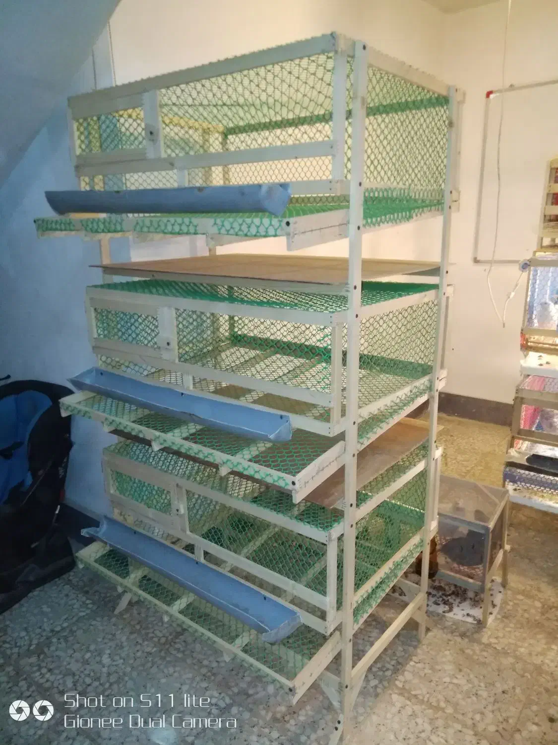 قفس|لوازم جانبی حیوانات|لنگرود, |دیوار