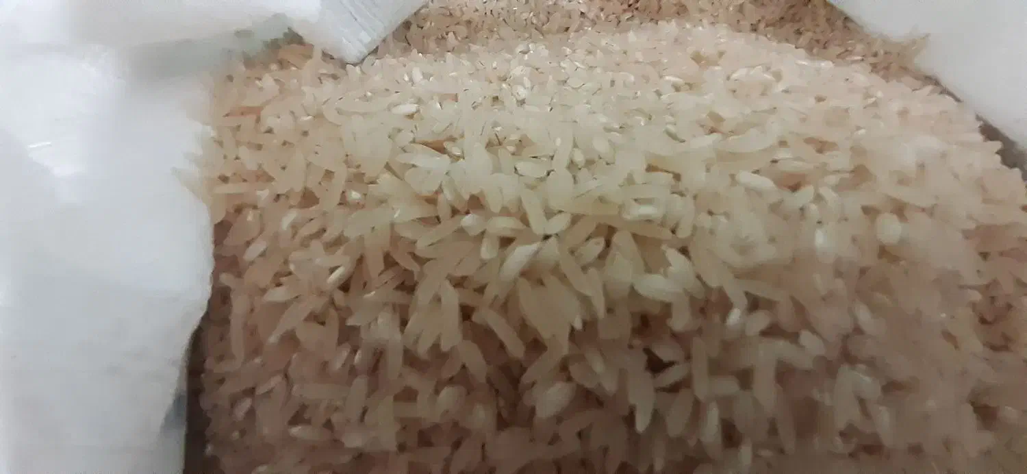 برنج فجر|خوردنی و آشامیدنی|گیلان غرب, |دیوار