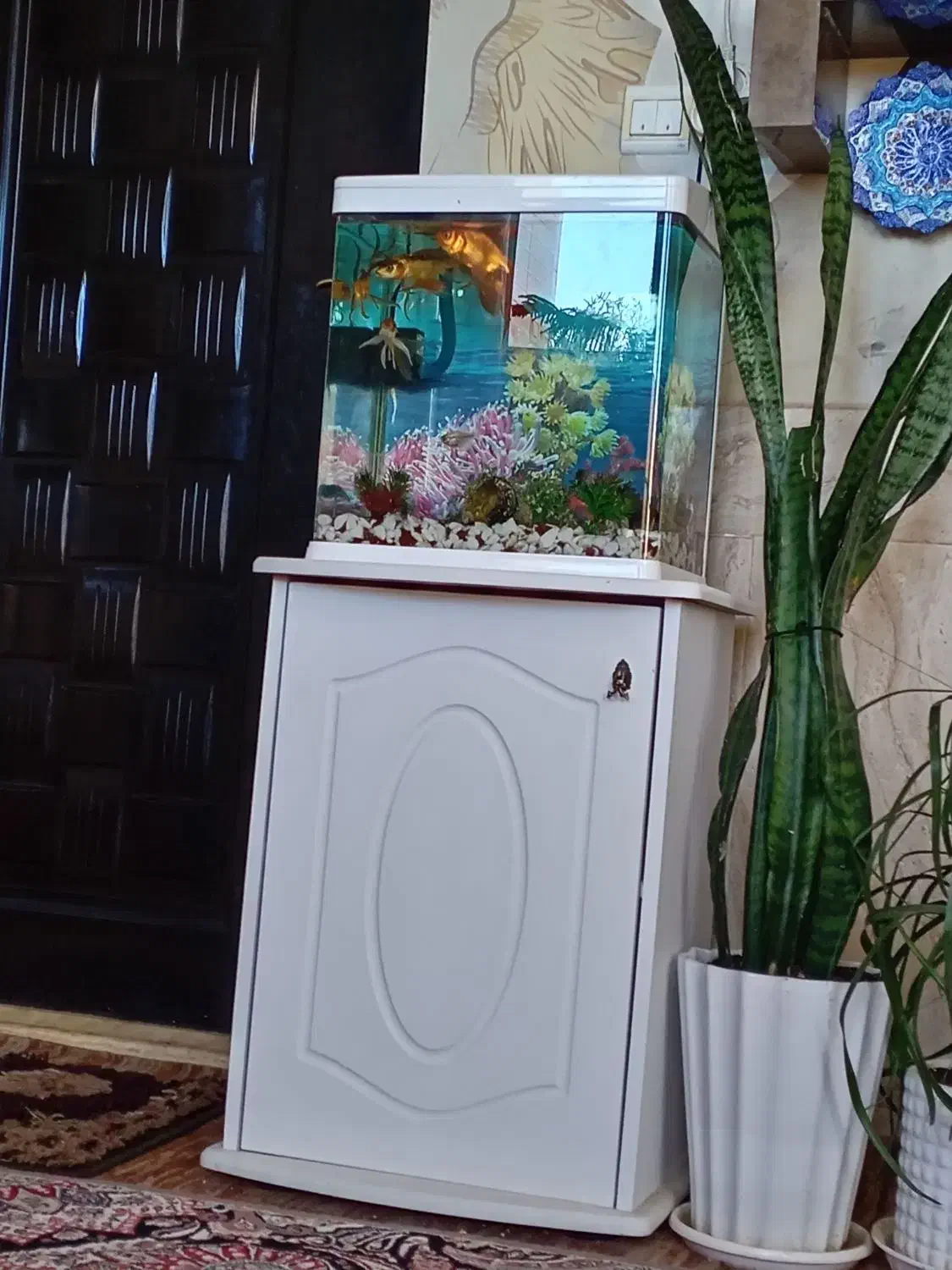 کمد زیر آکواریوم تمیز|ماهی|شهرضا, |دیوار