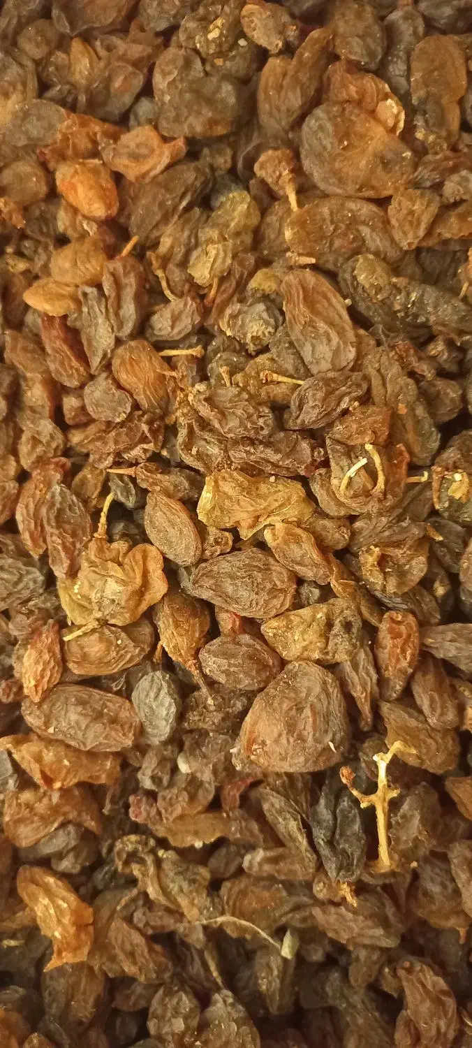 کشمش مویز آفتابی کاشمر،شیراز، تمیز بدون هسته|خوردنی و آشامیدنی|نجفآباد, حومه نجف آباد|دیوار