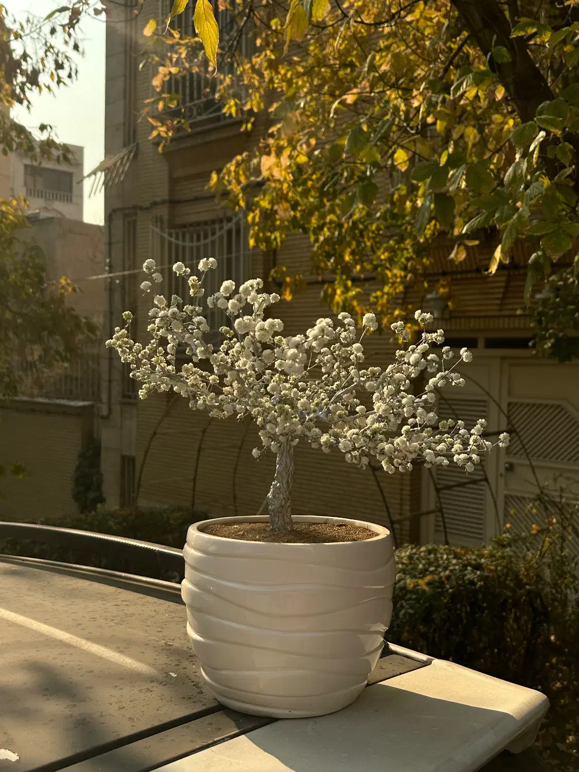 تزئینی منزل|مجسمه، تندیس، ماکت|تهران, کاشانک|دیوار