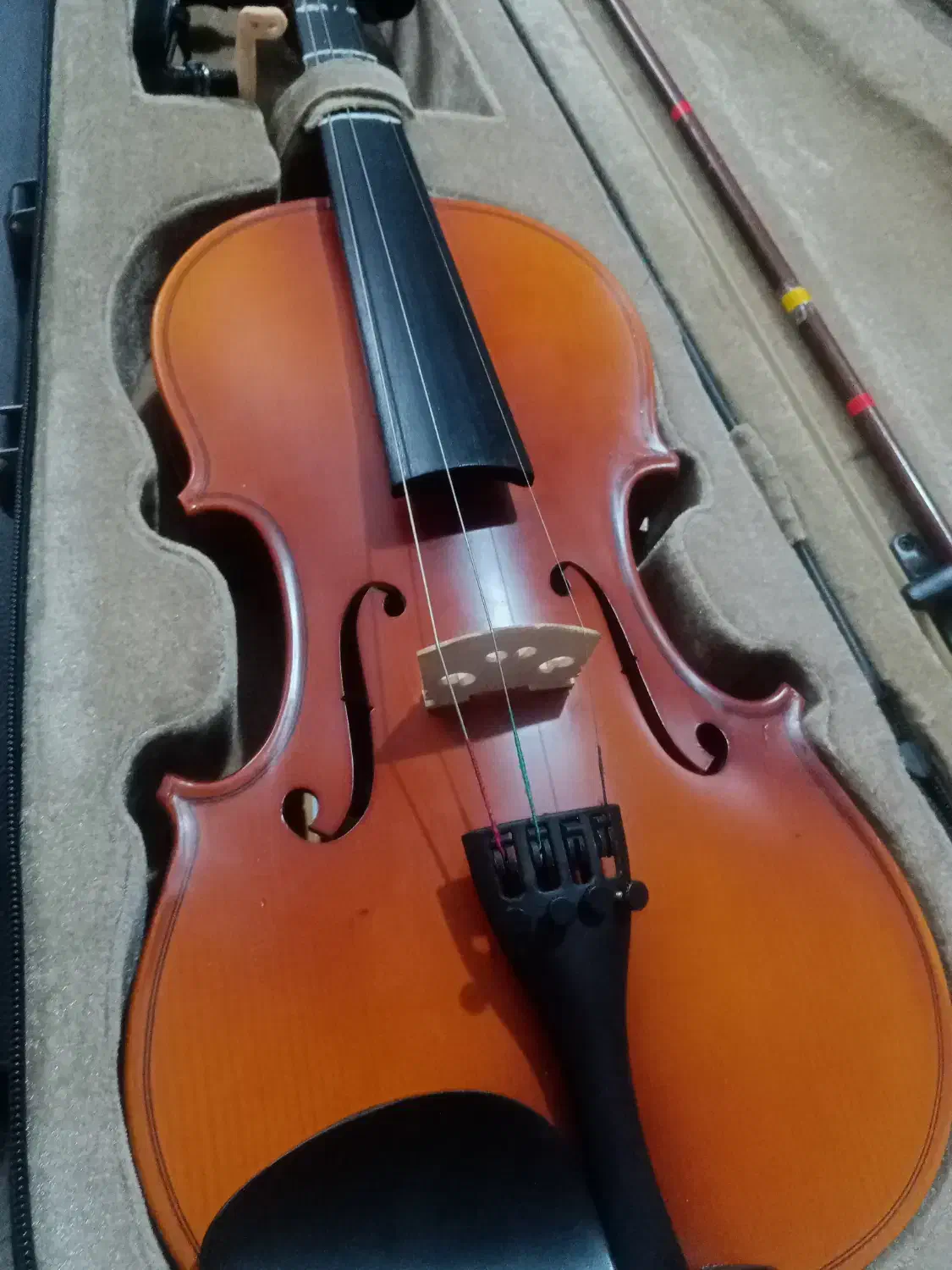 ویالون TF|ویولن|نجفآباد, ویلاشهر|دیوار