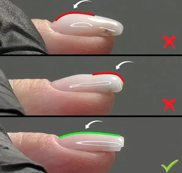 کاشت|گردهمایی و همایش|شوشتر, |دیوار