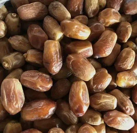 خرمایی زاهدی طلای شیرین جنوب|خوردنی و آشامیدنی|کاشان, ولیعصر|دیوار